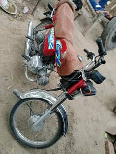 03136146566