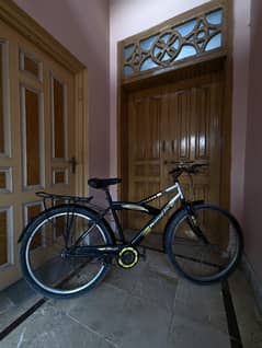 Phoenix Mountain Bike