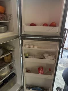 Dawlence Fridge