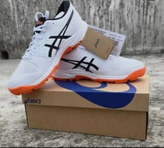 Imported sports shoe/ Asics shoes/ Puma , Sports Shoes / Cricket shoes