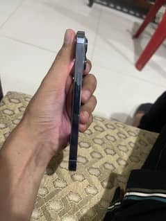 Iphone 13 pro pta approved
