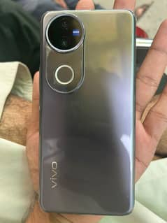 vivo v 50