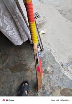 hard ball bat