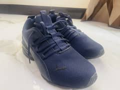 Puma