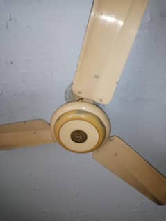 ceiling fan for sale