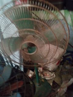 fan
