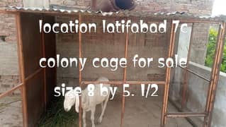 colony cage for sale. iron heavy cage