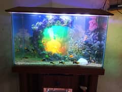 aquarium