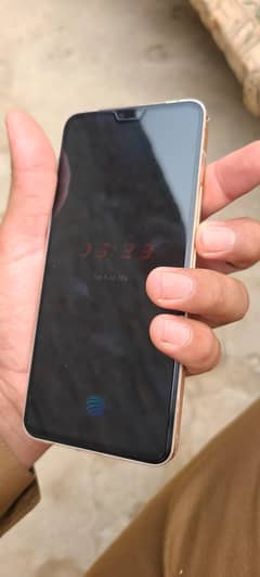 vivo