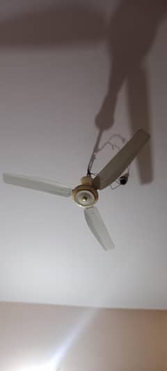 ceiling fan for sale