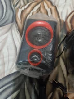 Dual Audio Woofers