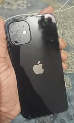 iphone12