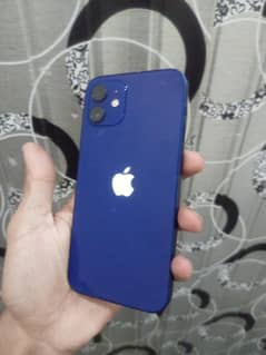 iPhone12
