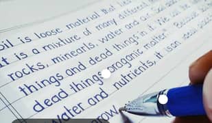Essay writing