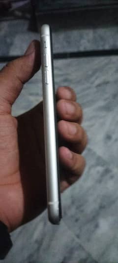 I phon 11 non pta