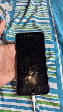 7plus bypass