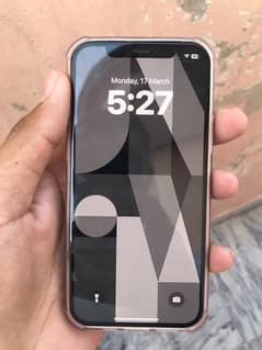 iPhone 12 in lush condition