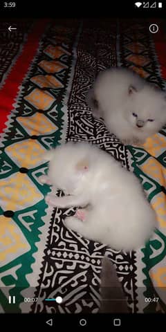 cute