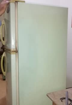 Singer (excel) tropical Refrigerator & Deep freezer for sale Rs. . 28000