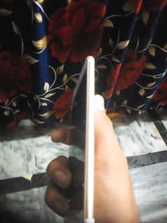 none pta ha cpanile ma white dote ha 3.4 Halka sa