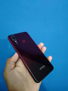 vivo