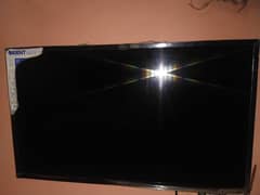 led orient 03214263042