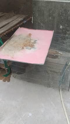cage available for sale. foldable with tray