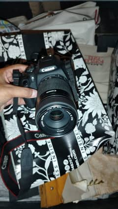 Canon 1500D DSLR + 55-250mm IS STM Lens – Excellent Condition