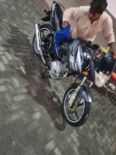 lush condition ybr 125 O339O526O17