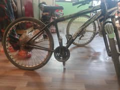 gear cycle