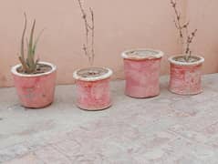 Different size pots for sell