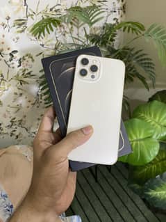Iphone 12 pro max factory unlock