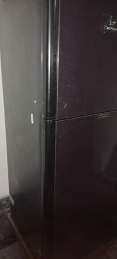 refrigerator and freezer