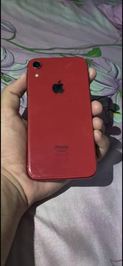 iphone XR red colour