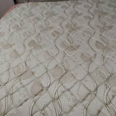 dura spring mattress Master Certa Standard 78x72