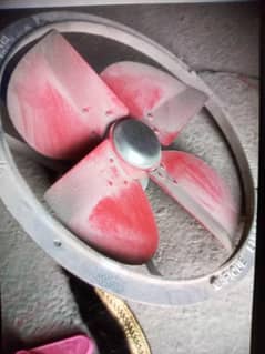 exast fans+ burners  urgent sale