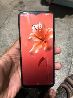vivo