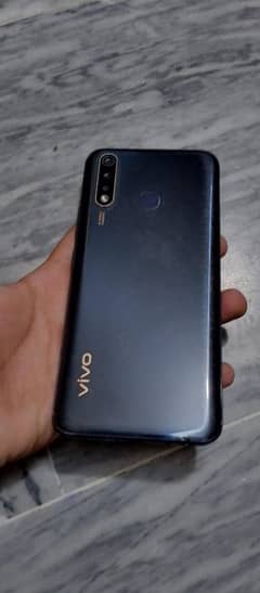 Vivo