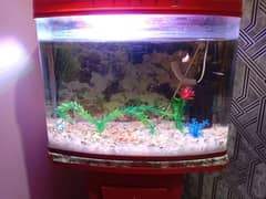 Good condition Aquarium with all accessories