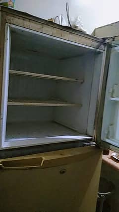 fridge for sale