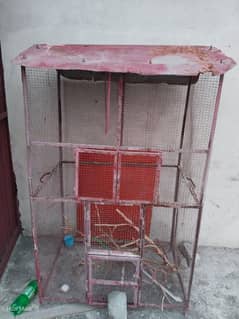 iron