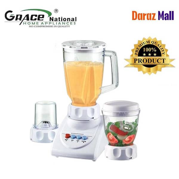 Grace National 3 in 1 Blender with Stainless Steel Blade and Overheat Protection