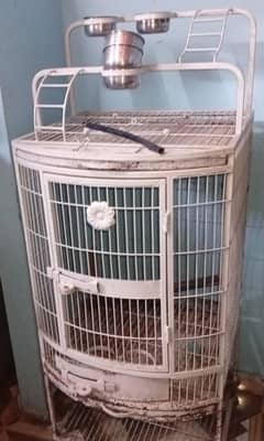 CAGE FULL 10/10