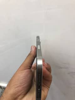 iPhone 12 Pro Max PTA Approved