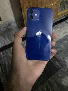 I phone 12 mini