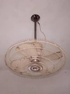 Indus fan