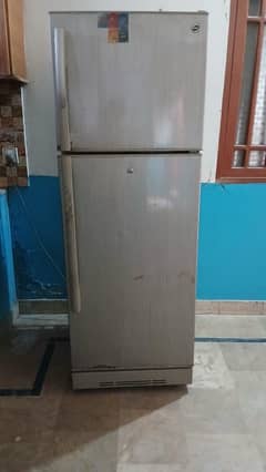 Pel Medium size fridge