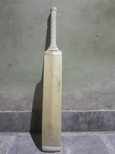 cricket hard ball bat