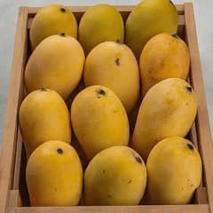 Farm Fresh Mangoes