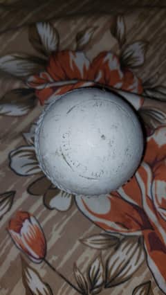 cricket hard plactic ball